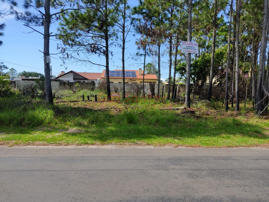 Terreno
